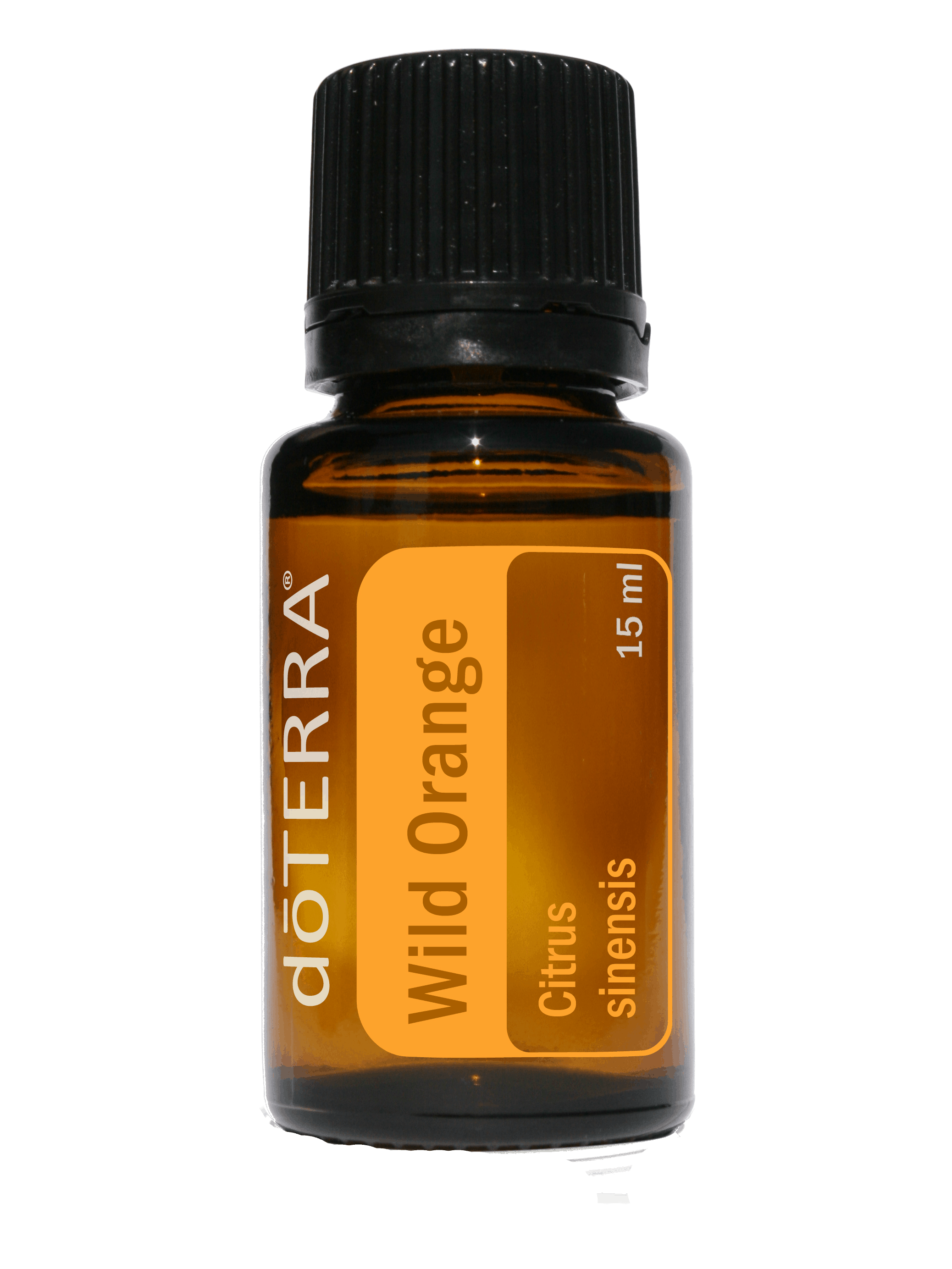 WildOrange_15ml Transparent